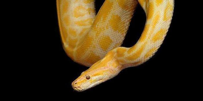 Escrevendo testes com Pytest e Mock